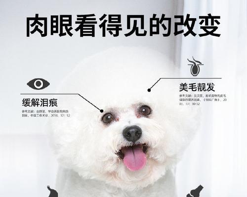 比熊犬的狗粮能和葡萄糖一起食用吗？