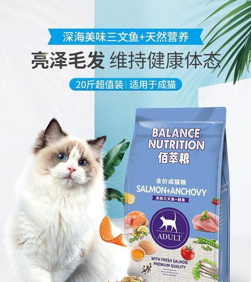 加菲猫应该吃什么猫粮？实惠又美味的选择是什么？