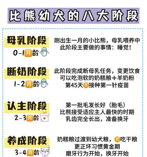 比熊十几天的小狗怎么喂？新生比熊犬的喂养方法有哪些？