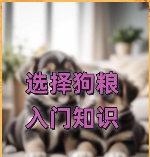 狗狗怎么学会吃狗粮？皇家成年中型犬狗粮适合吗？