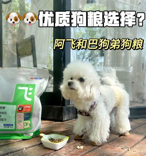 小型犬五斤狗粮能吃多久？狗粮过量会导致什么问题？