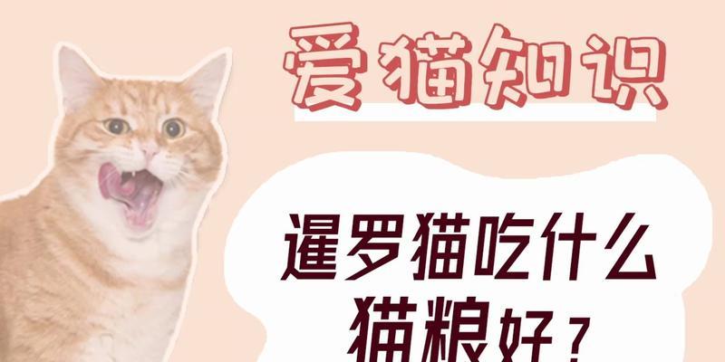 六个月暹罗猫猫粮摄入量标准是多少？如何科学喂养？