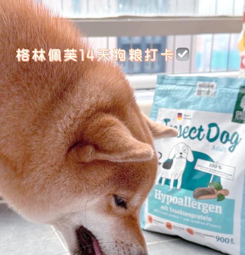 两个半月大的柴犬每次应该喂多少狗粮？喂食建议是什么？