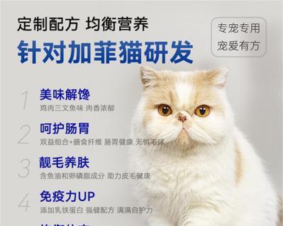 加菲猫适合哪种猫粮？哪些品牌的猫粮更受加菲猫欢迎？