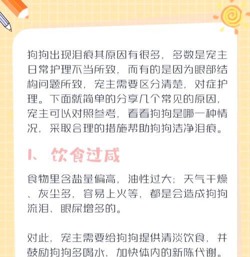 宠物狗去泪痕：最有效的方法是什么？