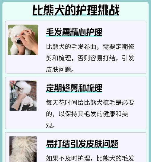 比熊犬食用鸭肝有哪些好处？鸭肝对狗狗健康的影响是什么？