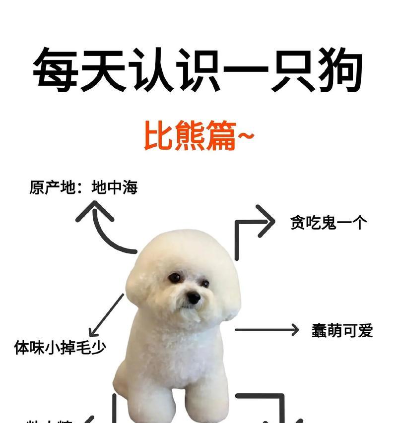 比熊幼犬吃鸡肝安全吗？吃后有何反应及原因？