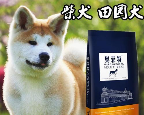 2个半月的柴犬应该吃什么样的狗粮？哪种狗粮最适合他们？