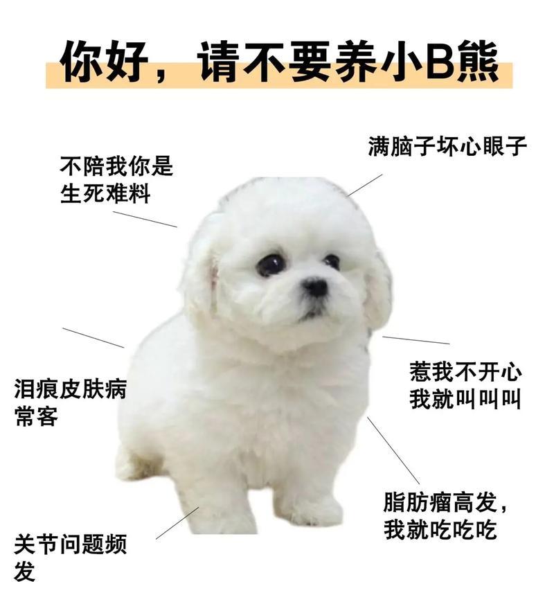 比熊幼犬可以吃卤鹌鹑蛋吗？