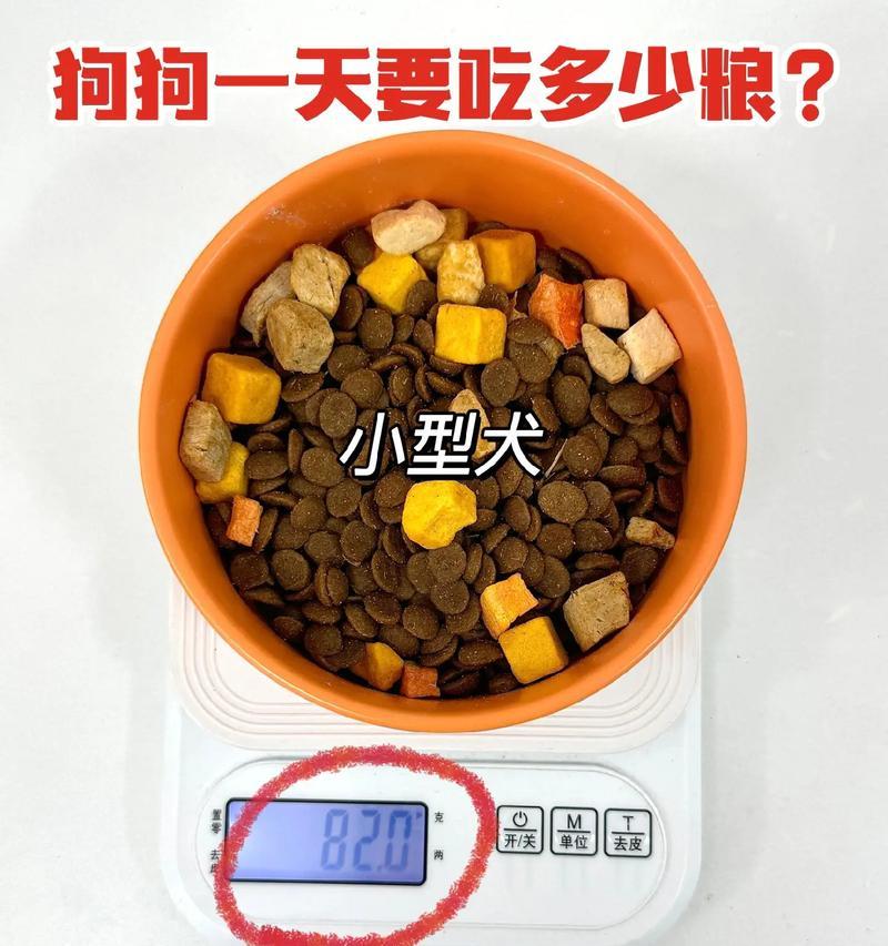 40斤小型犬狗粮应该吃多久？如何根据体重计算喂食量？