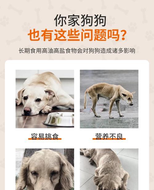 40斤小型犬狗粮应该吃多久？如何根据体重计算喂食量？