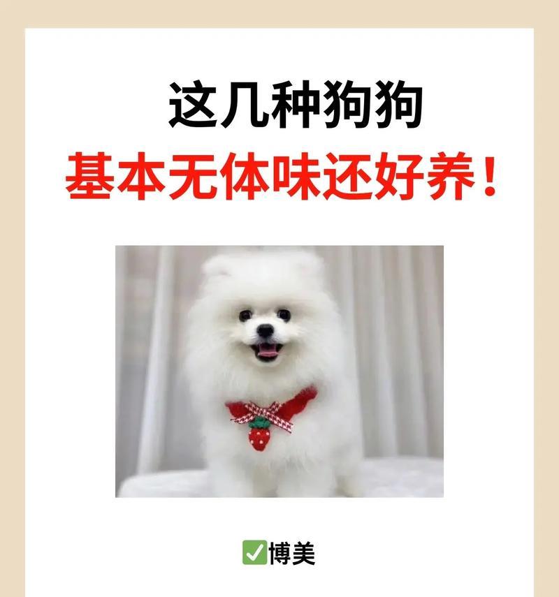 泰迪犬只吃肉不吃狗粮会导致拉血吗？这是什么原因造成的？