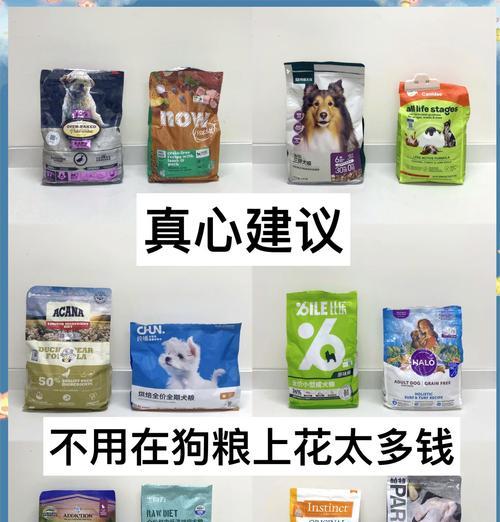 四个月大的中型犬每天需要多少狗粮？如何确保营养充足？