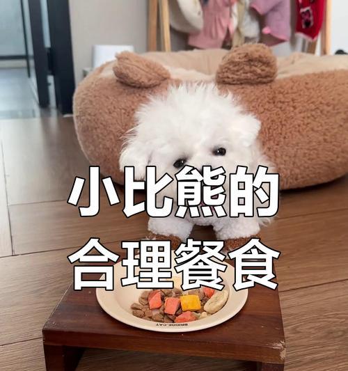 比熊犬可以同时吃虾和鸭肉吗？这样的组合有何影响？