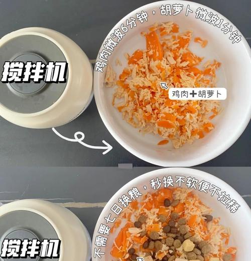 比熊同时吃西葫芦和鸭肉可行吗？营养搭配建议？