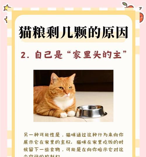 幼猫每次吃多少颗猫粮合适？如何确定合适的喂食量？