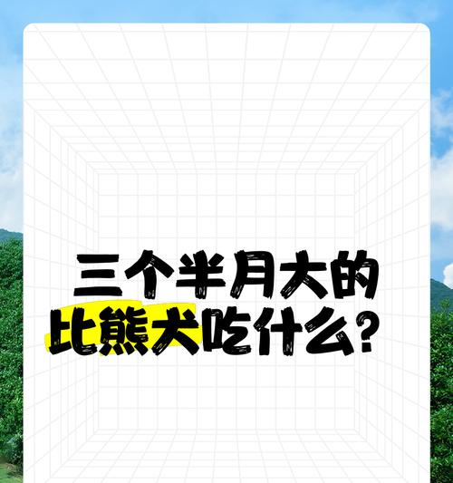 四个月大的比熊犬可以吃鸭肝吗？鸭肝对比熊犬有何影响？