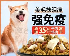 9斤柴犬每日狗粮推荐摄入量是多少？