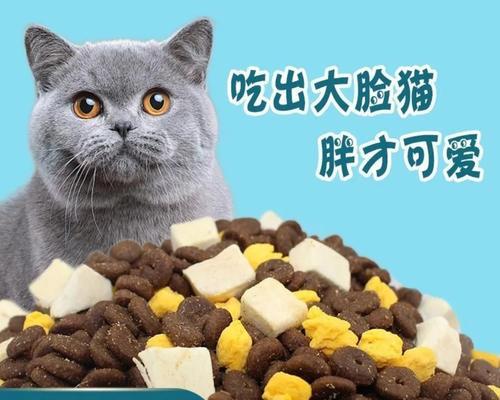 加菲猫的高级猫粮有哪些推荐？