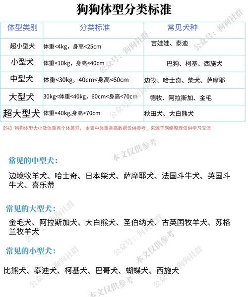 大型犬和小型犬狗粮食量一样吗？不同体型犬只的喂食标准有何不同？