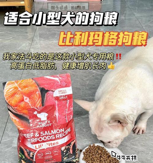 大型犬和小型犬狗粮食量一样吗？不同体型犬只的喂食标准有何不同？