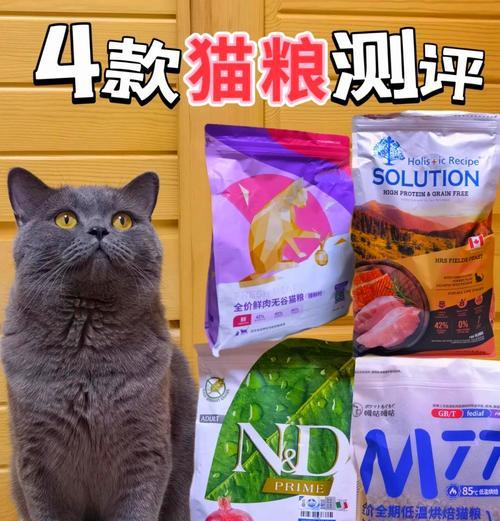 加菲猫偏爱哪种猫粮？推荐哪些品牌？