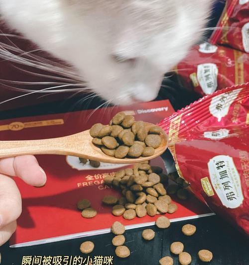 波兰猫粮有哪些知名品牌？它们的特点是什么？