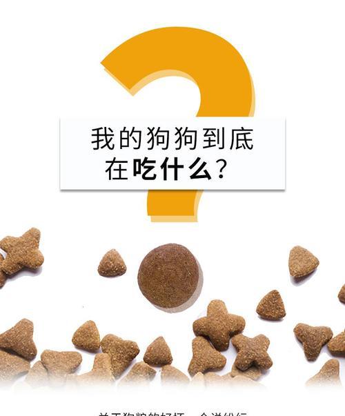 我家的比熊经常吃鸡骨头？这样安全吗？