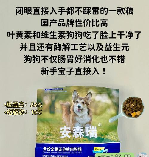 小型犬每日狗粮推荐摄入量是多少？