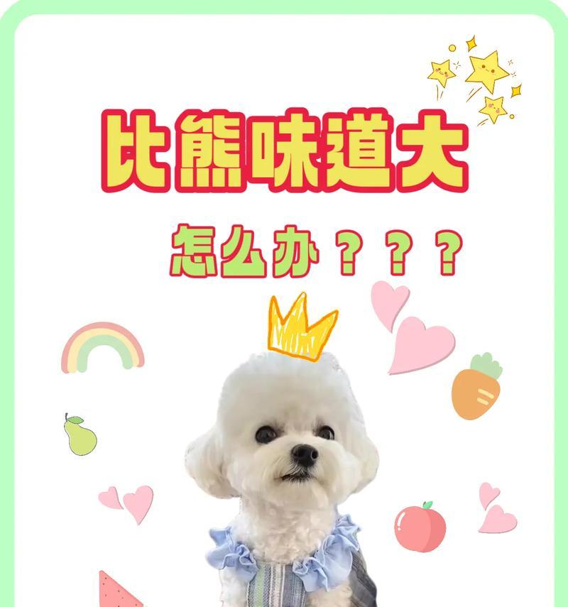 比熊幼犬吃鸡骨头安全吗？正确的吃法是什么？