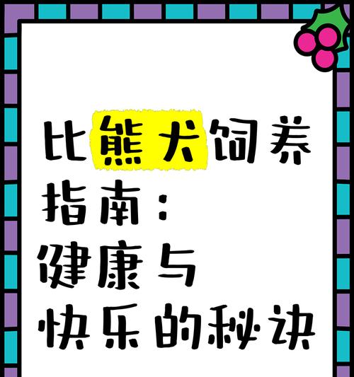 2个月小比熊的喂食量是多少？一天应该喂几顿？