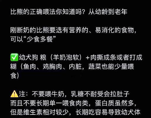 比熊喝粥时需要加盐吗？对狗狗健康有何影响？