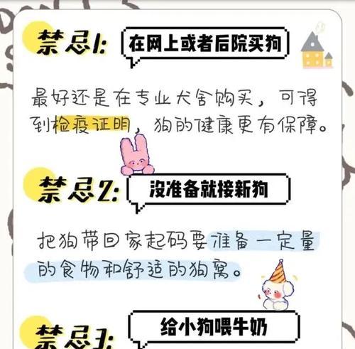 比熊喝粥时需要加盐吗？对狗狗健康有何影响？