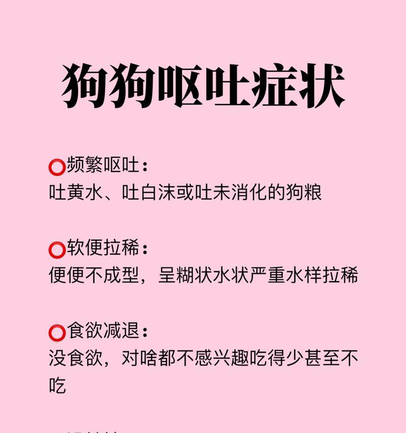 两个月柴犬呕吐且无精打采怎么办？是否与狗粮有关？