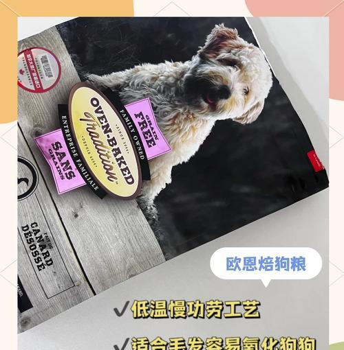 小型犬每日狗粮摄入量应该是多少？如何制定喂食计划？