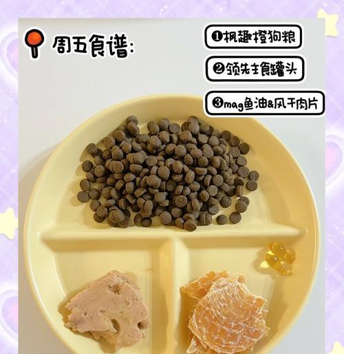 三个月大的比熊喂食量：应该吃多少饲料？