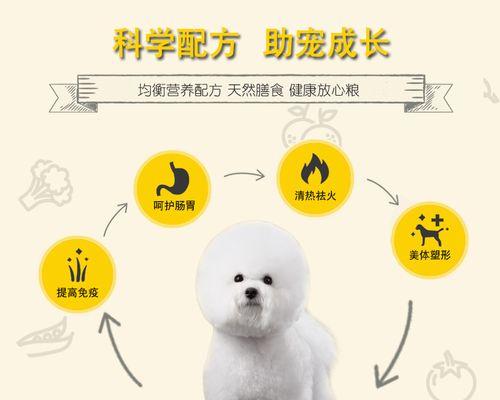 幼犬比熊食用酸奶泡狗粮是否安全？