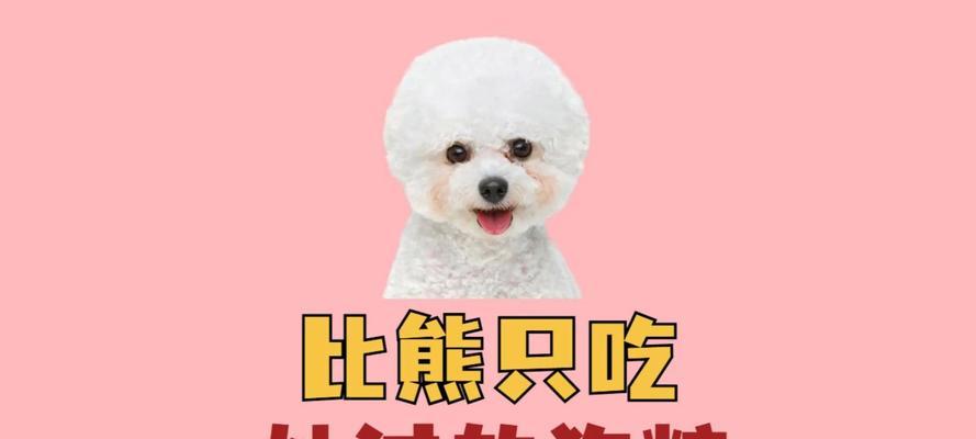 比熊犬吃鸡肝拌狗粮好吗？正确的做法是什么？