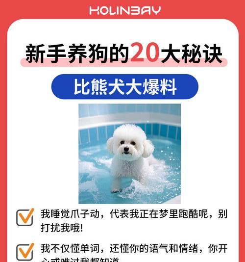 比熊犬吃鸡肝拌狗粮好吗？正确的做法是什么？