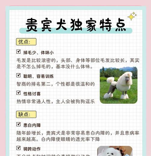 不同体型的贵宾犬价位是多少？如何查看贵宾犬的价位一览表？