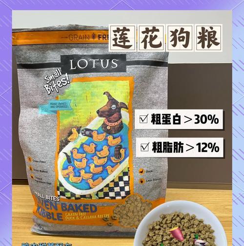 四十天比熊的狗粮喂食指南？比熊幼犬的正确喂养方法是什么？