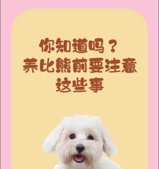 三个月的小比熊饲养需要注意什么？