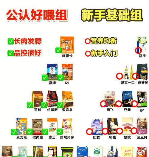 加菲猫粮选择指南：哪些品牌更受猫咪喜爱？