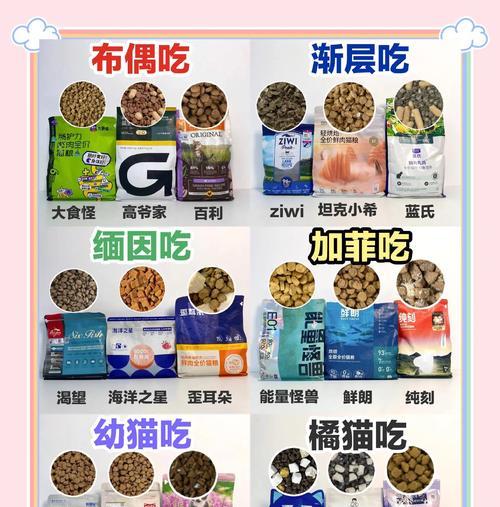 加菲猫粮选择指南：哪些品牌更受猫咪喜爱？