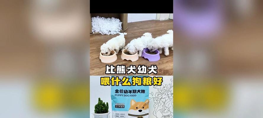 比熊犬可以吃鸡肝拌狗粮吗？怎样制作美味的鸡肝狗粮？