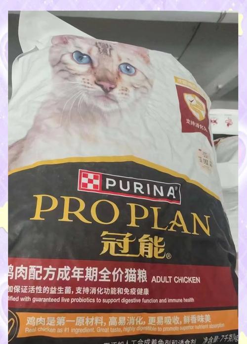 一只中型犬一天吃多少狗粮最好？如何根据体重调整食量？