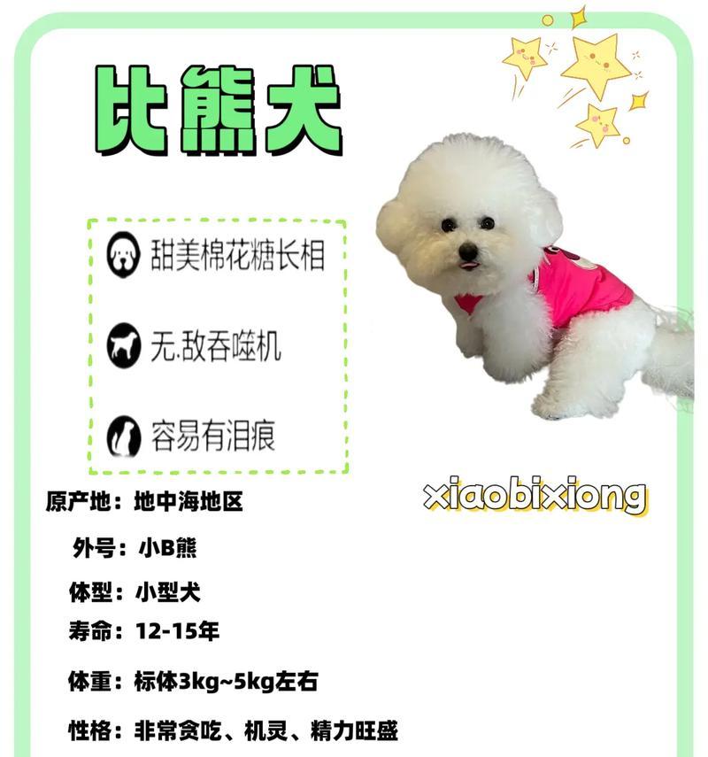 比熊幼犬多大时可以开始添加鸡蛋黄？添加鸡蛋黄有哪些注意事项？