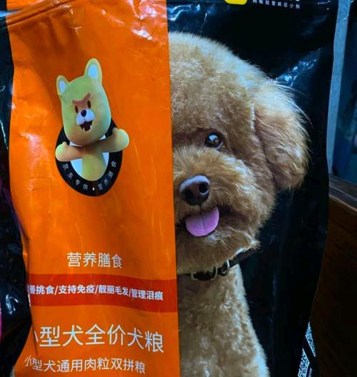 大狗粮适合小型犬吗？