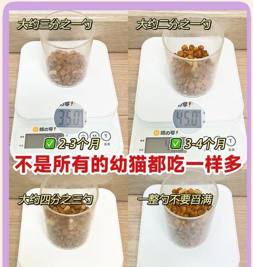 六个月暹罗猫每日猫粮摄入量是多少克？怎样的喂食量才算正常？