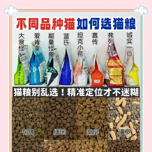 六个月暹罗猫每日猫粮摄入量是多少克？怎样的喂食量才算正常？